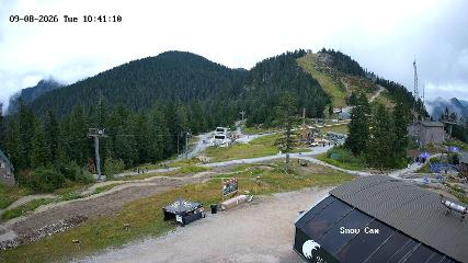 Grouse Mountain: Snow Cam (grousemountain.com)