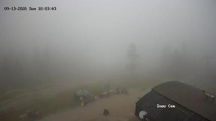 Grouse Mountain: Snow Cam (grousemountain.com)