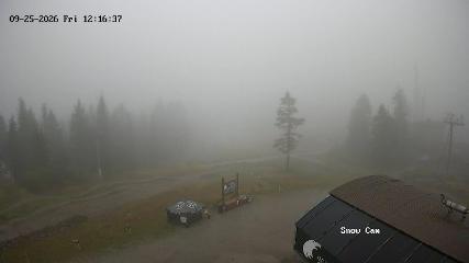 Grouse Mountain: Snow Cam (grousemountain.com)