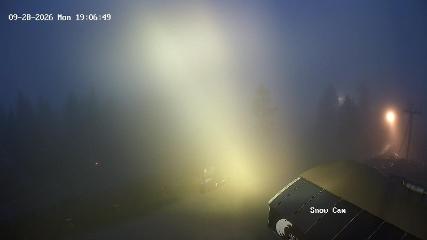 Grouse Mountain: Snow Cam (grousemountain.com)