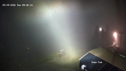 Grouse Mountain: Snow Cam (grousemountain.com)