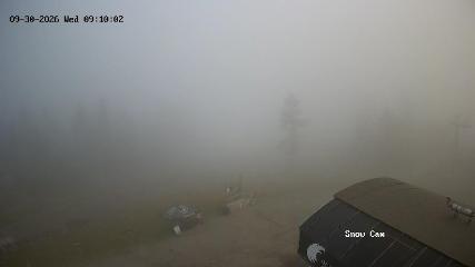 Grouse Mountain: Snow Cam (grousemountain.com)