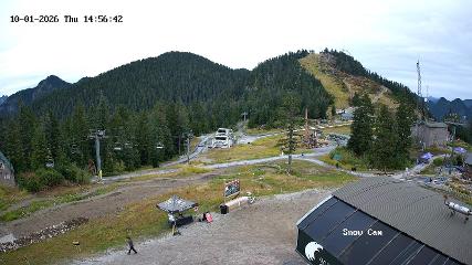 Grouse Mountain: Snow Cam (grousemountain.com)