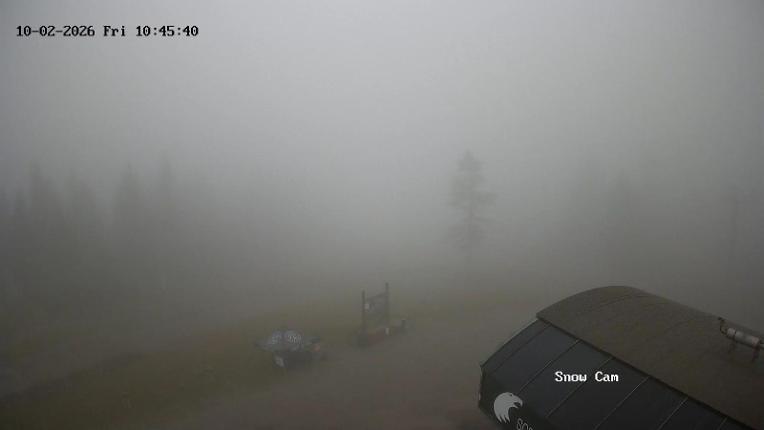 Webcam Grouse Mountain: Snow Cam