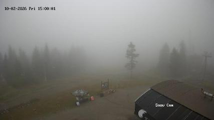Grouse Mountain: Snow Cam (grousemountain.com)