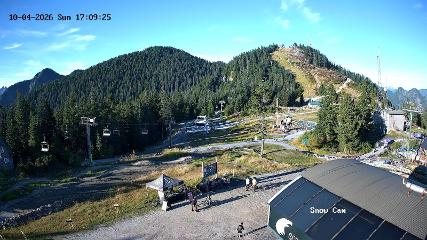 Grouse Mountain: Snow Cam (grousemountain.com)