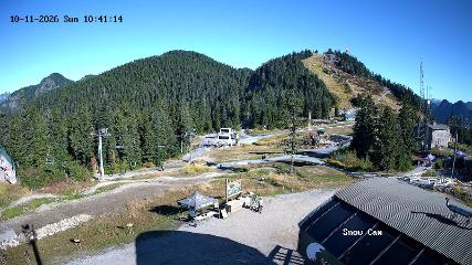 Grouse Mountain: Snow Cam (grousemountain.com)