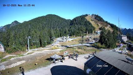 Grouse Mountain: Snow Cam (grousemountain.com)