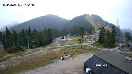 Grouse Mountain: Snow Cam (grousemountain.com)