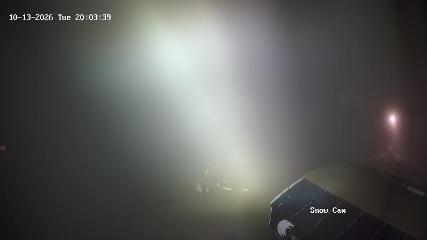 Grouse Mountain: Snow Cam (grousemountain.com)