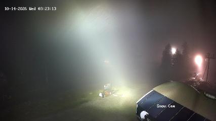 Grouse Mountain: Snow Cam (grousemountain.com)