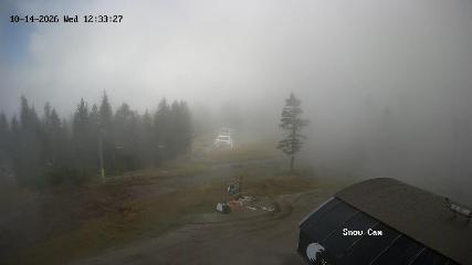 Grouse Mountain: Snow Cam (grousemountain.com)
