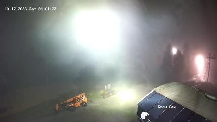 Grouse Mountain: Snow Cam (grousemountain.com)