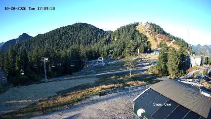 Grouse Mountain: Snow Cam (grousemountain.com)