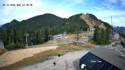 Grouse Mountain: Snow Cam (grousemountain.com)