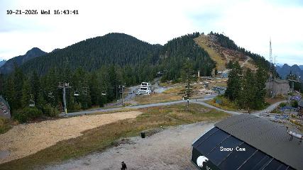 Grouse Mountain: Snow Cam (grousemountain.com)