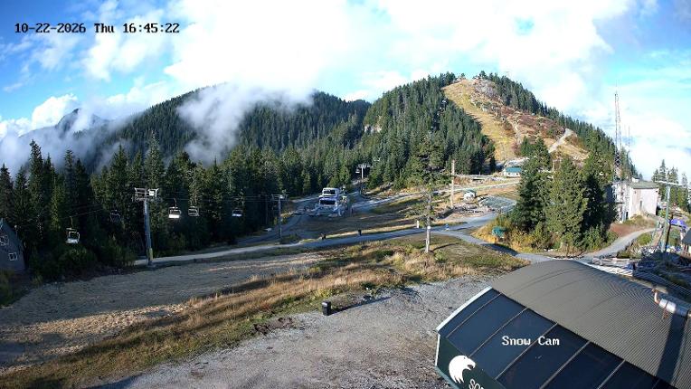 Webcam Grouse Mountain: Snow Cam