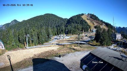 Grouse Mountain webcam