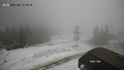 Grouse Mountain: Snow Cam (grousemountain.com)