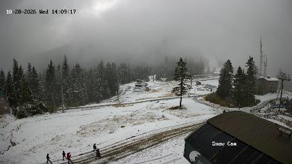 Grouse Mountain: Snow Cam (grousemountain.com)