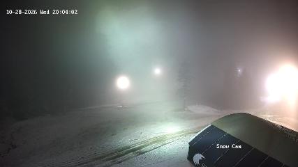 Grouse Mountain: Snow Cam (grousemountain.com)