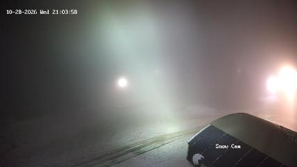 Grouse Mountain: Snow Cam (grousemountain.com)