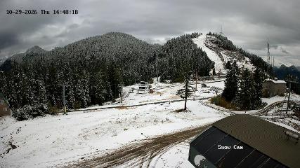 Grouse Mountain: Snow Cam (grousemountain.com)