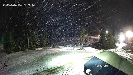 Grouse Mountain: Snow Cam (grousemountain.com)