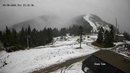 Grouse Mountain: Snow Cam (grousemountain.com)