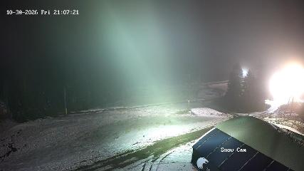 Grouse Mountain: Snow Cam (grousemountain.com)