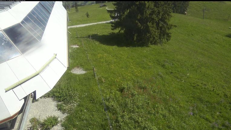 Webcam Gstaad: Eggli