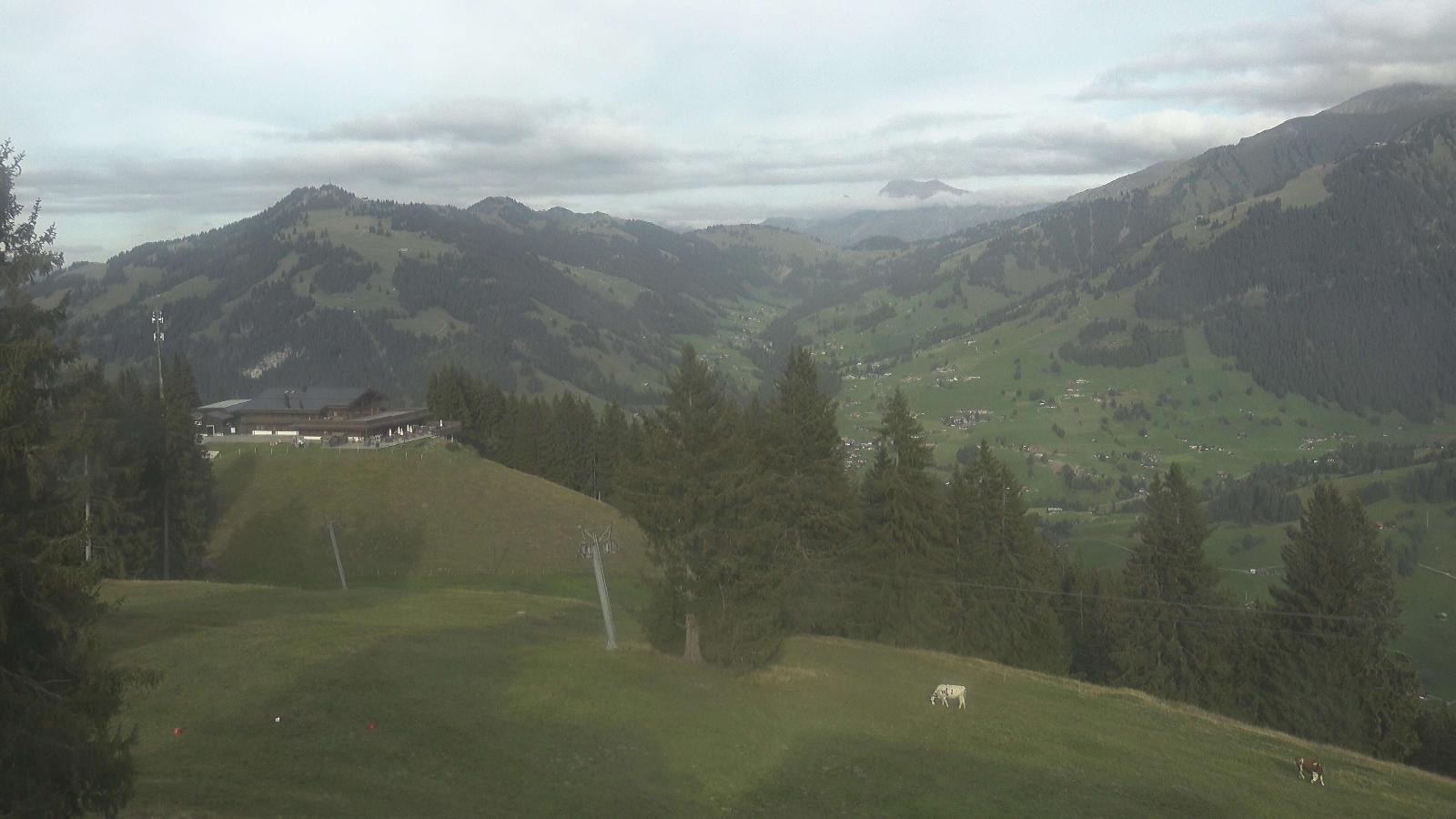 Webcam Gstaad: Eggli