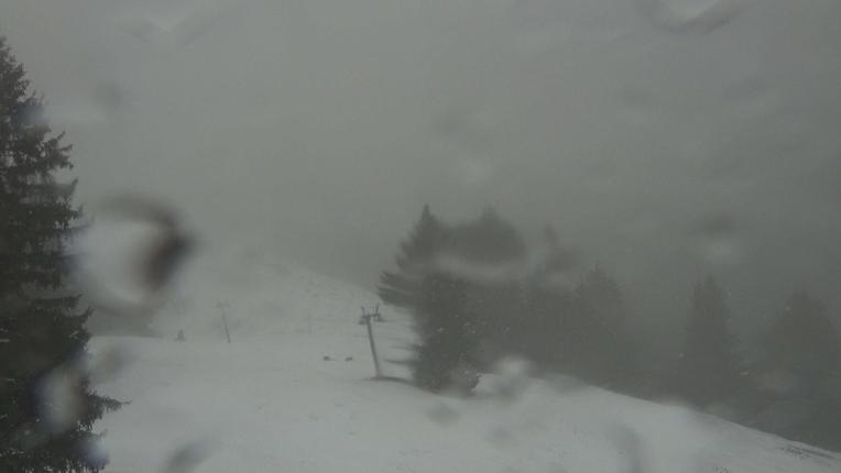 Webcam Gstaad: Eggli