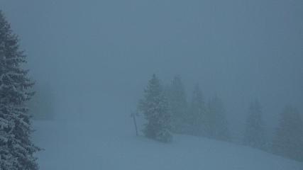 Bild des Benutzerberichts in Gstaad