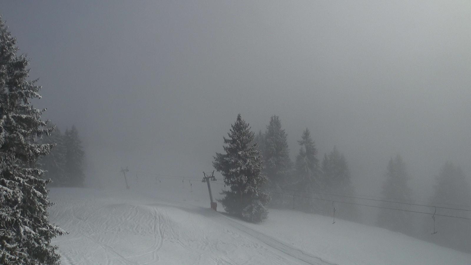 Webcam Gstaad: Eggli