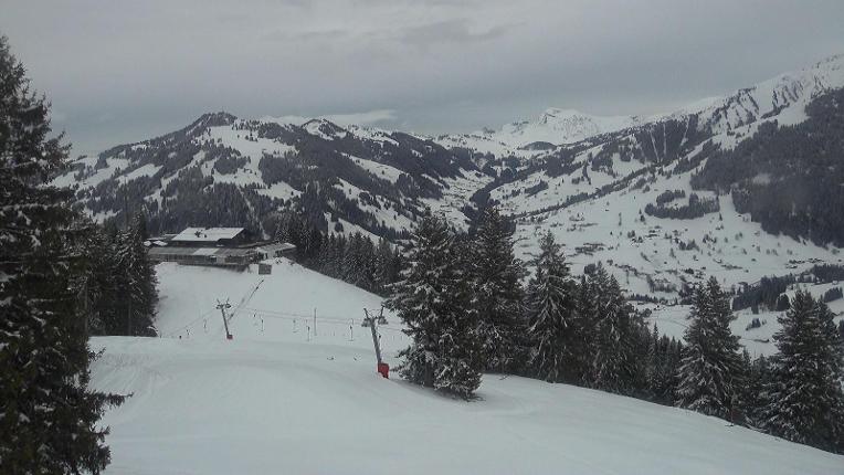 Webcam Gstaad: Eggli