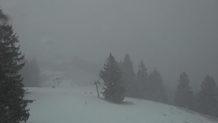 Webcam Gstaad: Eggli