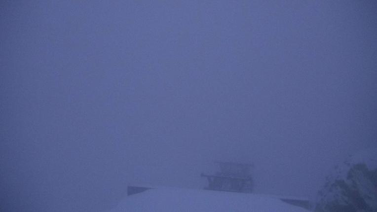 Webcam Gstaad: La Videmanette