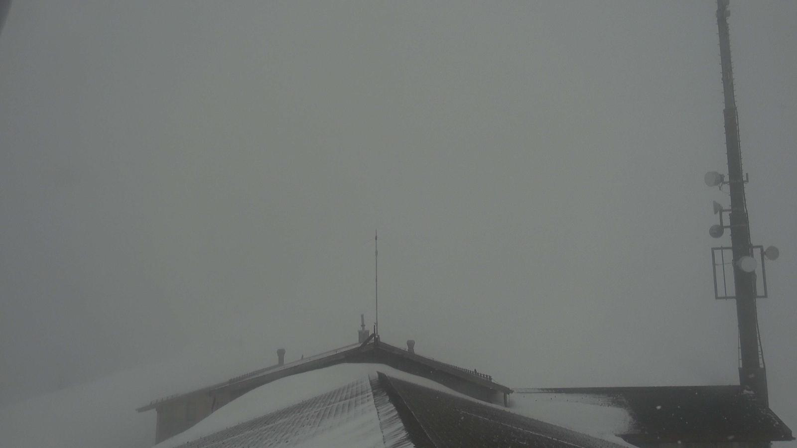 Webcam Gstaad: Rinderberg Spitz