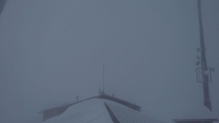 Webcam Gstaad: Rinderberg Spitz