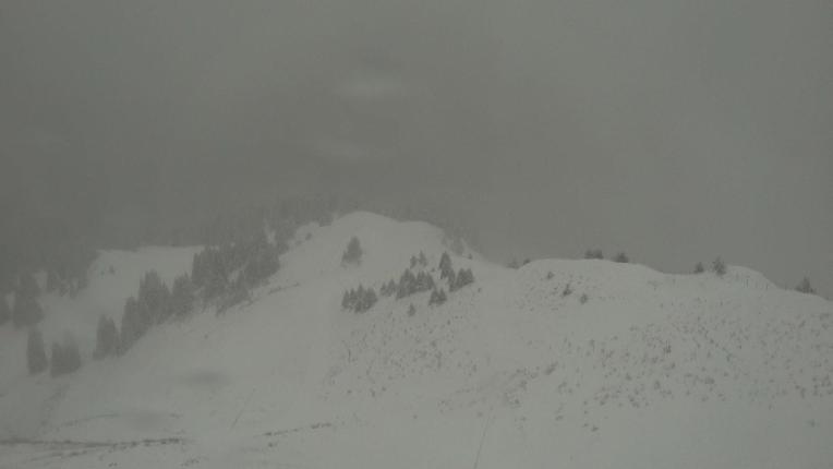 Webcam Gstaad: Rinderberg