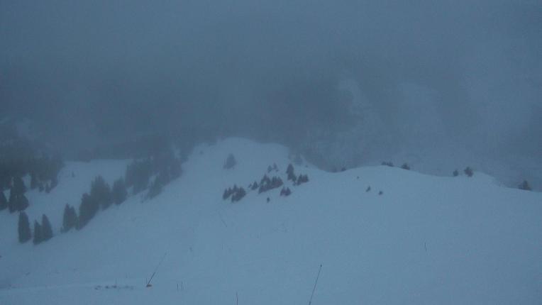 Webcam Gstaad: Rinderberg