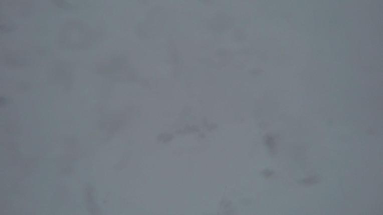 Webcam Gstaad: Rinderberg