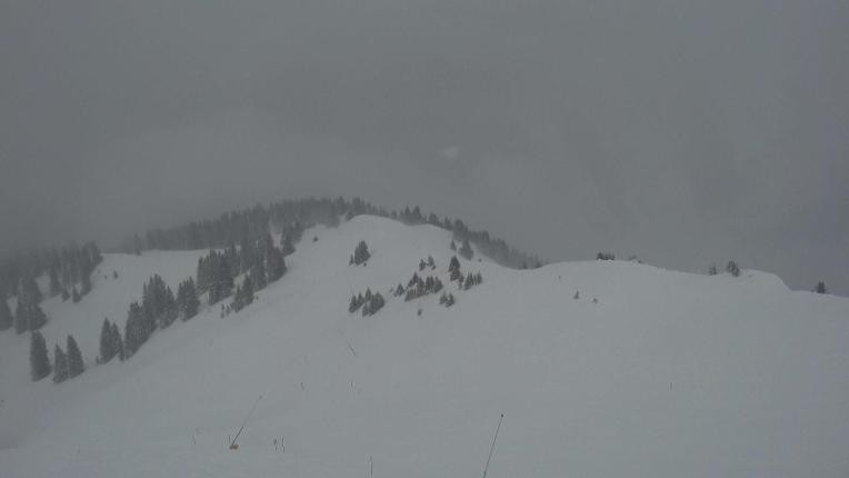 Webcam Gstaad: Rinderberg