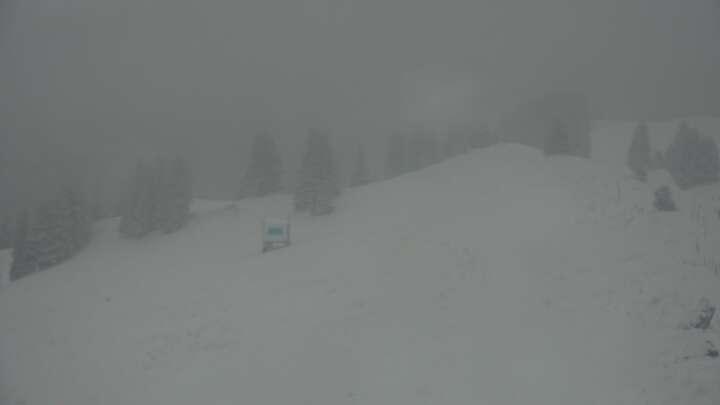 Webcam Gstaad: Saanerslochgrat