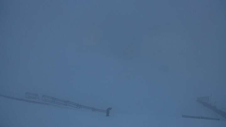 Webcam Gstaad: Saanerslochgrat