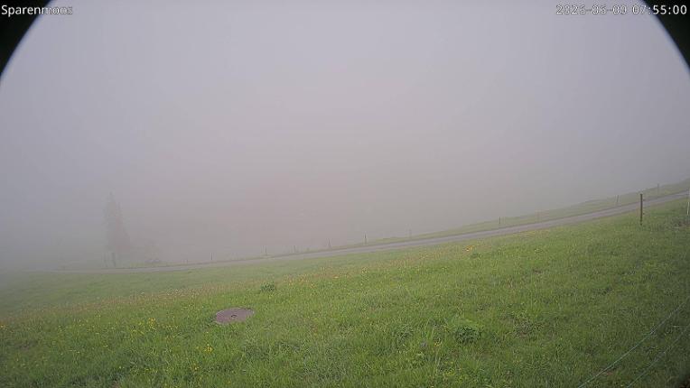 Webcam Gstaad: Sparenmoos