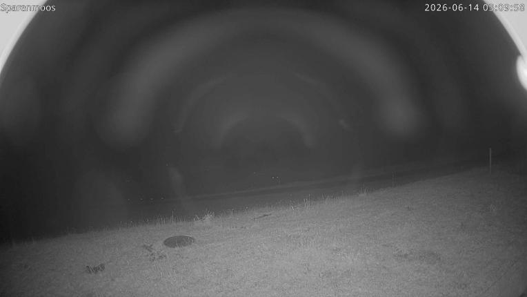 Webcam Gstaad: Sparenmoos