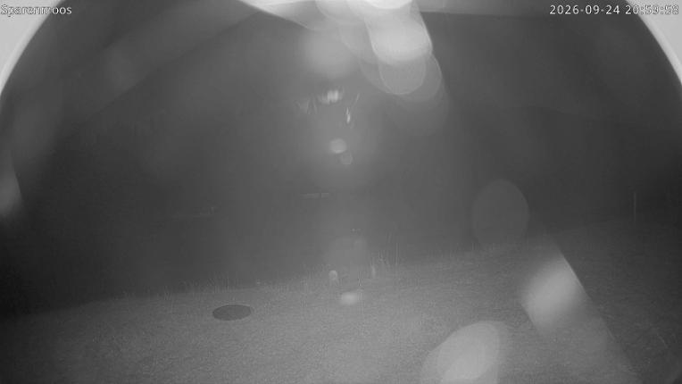 Webcam Gstaad: Sparenmoos