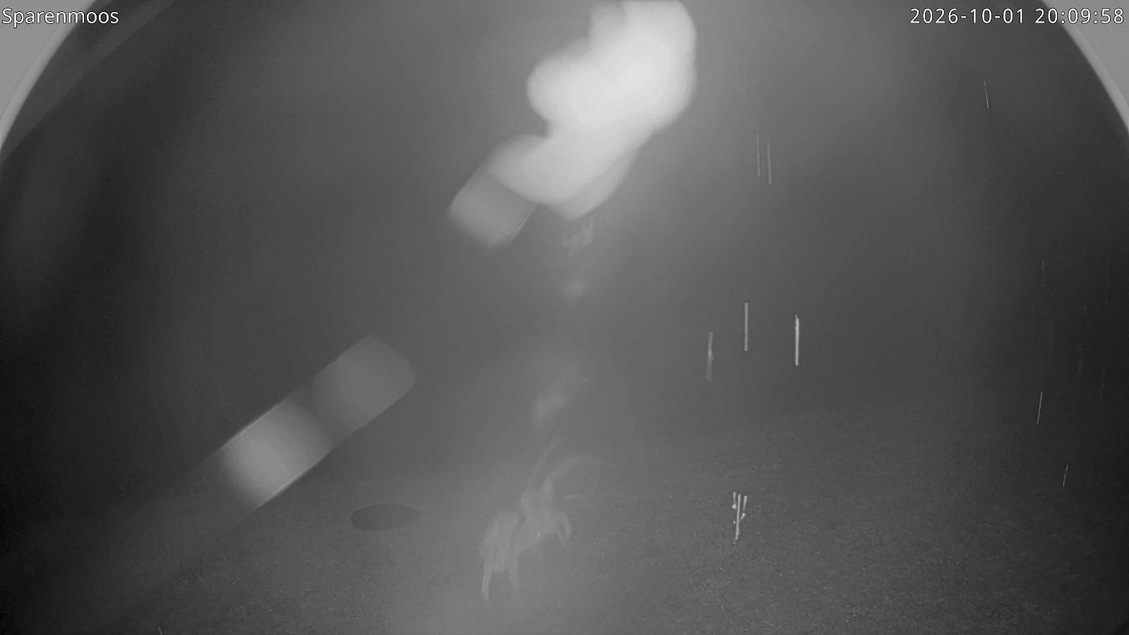 Webcam Gstaad: Sparenmoos